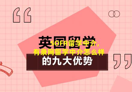 SOFR留学中介,有录网留学中介怎么样