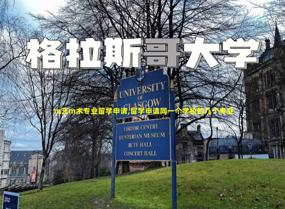m艺m术专业留学申请,留学申请同一个学校的几个专业