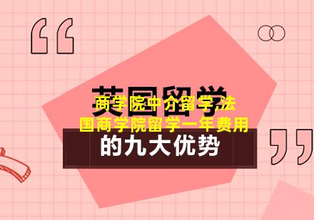 商学院中介留学,法国商学院留学一年费用