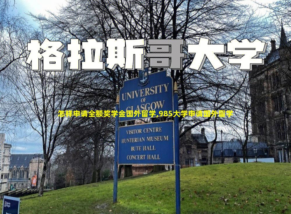 怎样申请全额奖学金国外留学,985大学申请国外留学