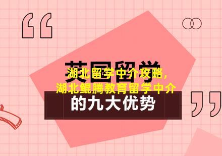 湖北留学中介攻略,湖北鲲腾教育留学中介
