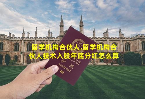 留学机构合伙人,留学机构合伙人技术入股年底分红怎么算