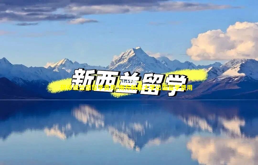 研修班出国留学费用,南方科技大学出国留学费用