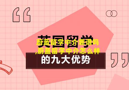 蔚蓝留学中介靠谱吗,蔚蓝留学中介怎么样