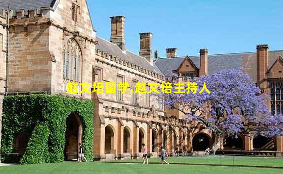 赵文培留学,赵文培主持人